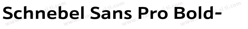 Schnebel Sans Pro Bold字体转换